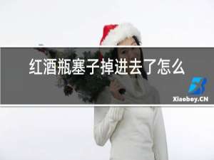 红酒瓶塞子掉进去了怎么办