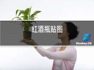 红酒瓶贴图
