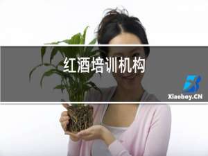 红酒培训机构