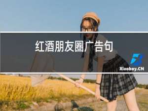 红酒朋友圈广告句