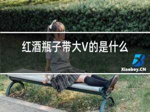 红酒瓶子带大V的是什么酒