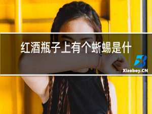 红酒瓶子上有个蜥蜴是什么酒