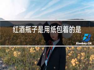 红酒瓶子是用纸包着的是什么酒