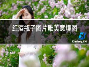 红酒瓶子图片唯美意境图片