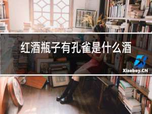 红酒瓶子有孔雀是什么酒