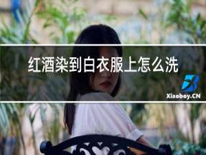 红酒染到白衣服上怎么洗