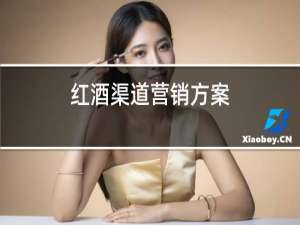 红酒渠道营销方案