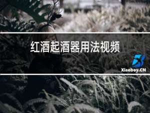 红酒起酒器用法视频