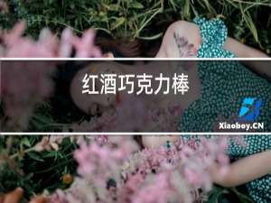 红酒巧克力棒