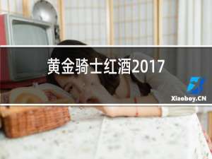 黄金骑士红酒2017