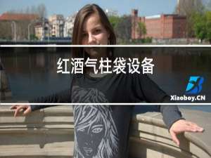 红酒气柱袋设备