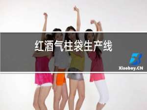 红酒气柱袋生产线