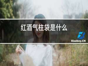 红酒气柱袋是什么