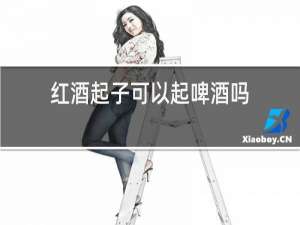 红酒起子可以起啤酒吗