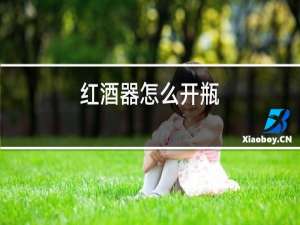 红酒器怎么开瓶