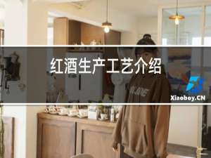 红酒生产工艺介绍