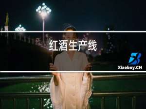 红酒生产线