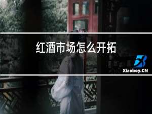 红酒市场怎么开拓