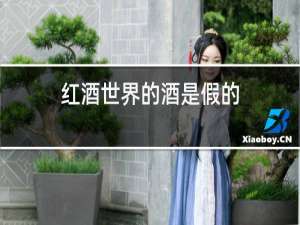 红酒世界的酒是假的