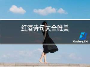 红酒诗句大全唯美