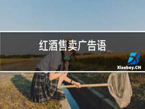 红酒售卖广告语