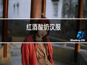 红酒酸奶汉服