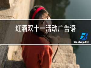 红酒双十一活动广告语