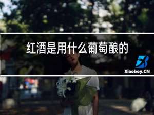红酒是用什么葡萄酿的