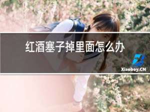 红酒塞子掉里面怎么办