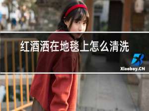 红酒洒在地毯上怎么清洗