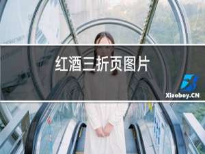红酒三折页图片