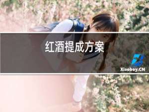 红酒提成方案