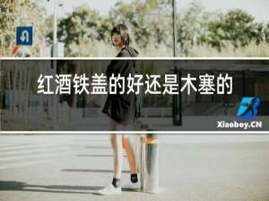 红酒铁盖的好还是木塞的好?