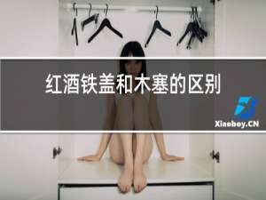 红酒铁盖和木塞的区别