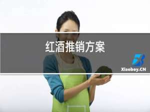 红酒推销方案
