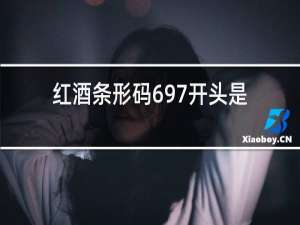 红酒条形码697开头是哪里的