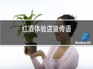 红酒体验店宣传语