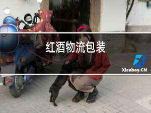 红酒物流包装