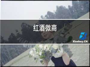 红酒微商