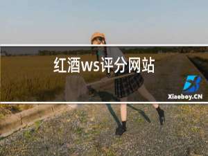 红酒ws评分网站