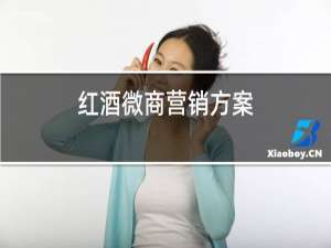 红酒微商营销方案