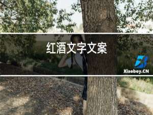 红酒文字文案