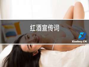 红酒宣传册