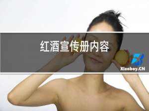 红酒宣传册内容