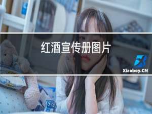 红酒宣传册图片