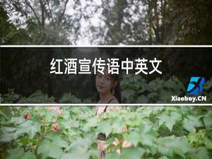 红酒宣传语中英文