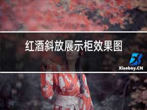 红酒斜放展示柜效果图