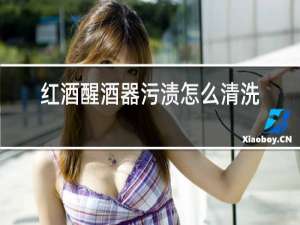 红酒醒酒器污渍怎么清洗
