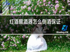 红酒醒酒器怎么倒酒保证不洒出来