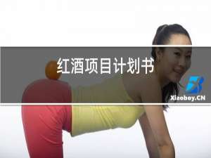 红酒项目计划书